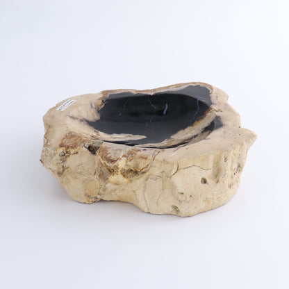 One Small Petrified Wood Brown & Black Rough Bowl