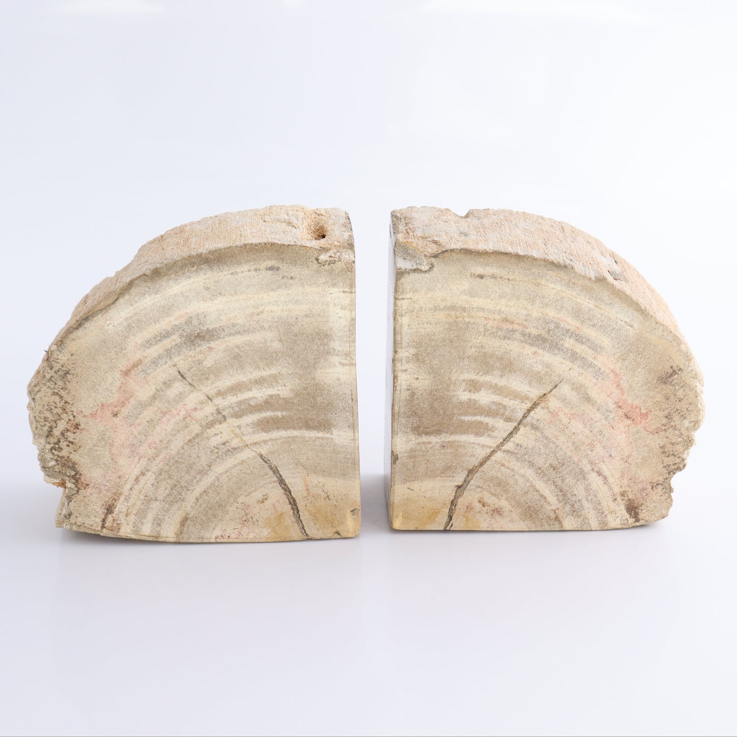 Bookends Petrified Wood - Expert Wholesale and Supplier of Wholesale Crystals & Bulk Gemstones, ["Bookends","Indonesia","Petrified Wood"]