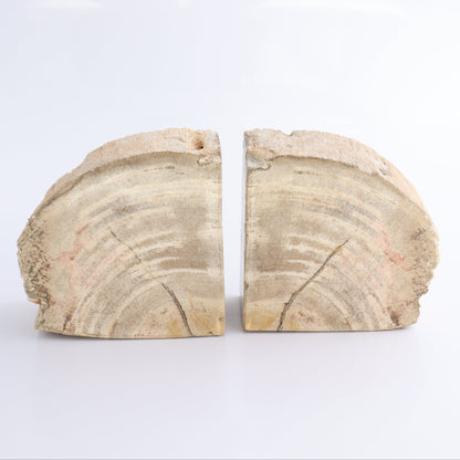 Bookends Petrified Wood - Expert Wholesale and Supplier of Wholesale Crystals & Bulk Gemstones, ["Bookends","Indonesia","Petrified Wood"]
