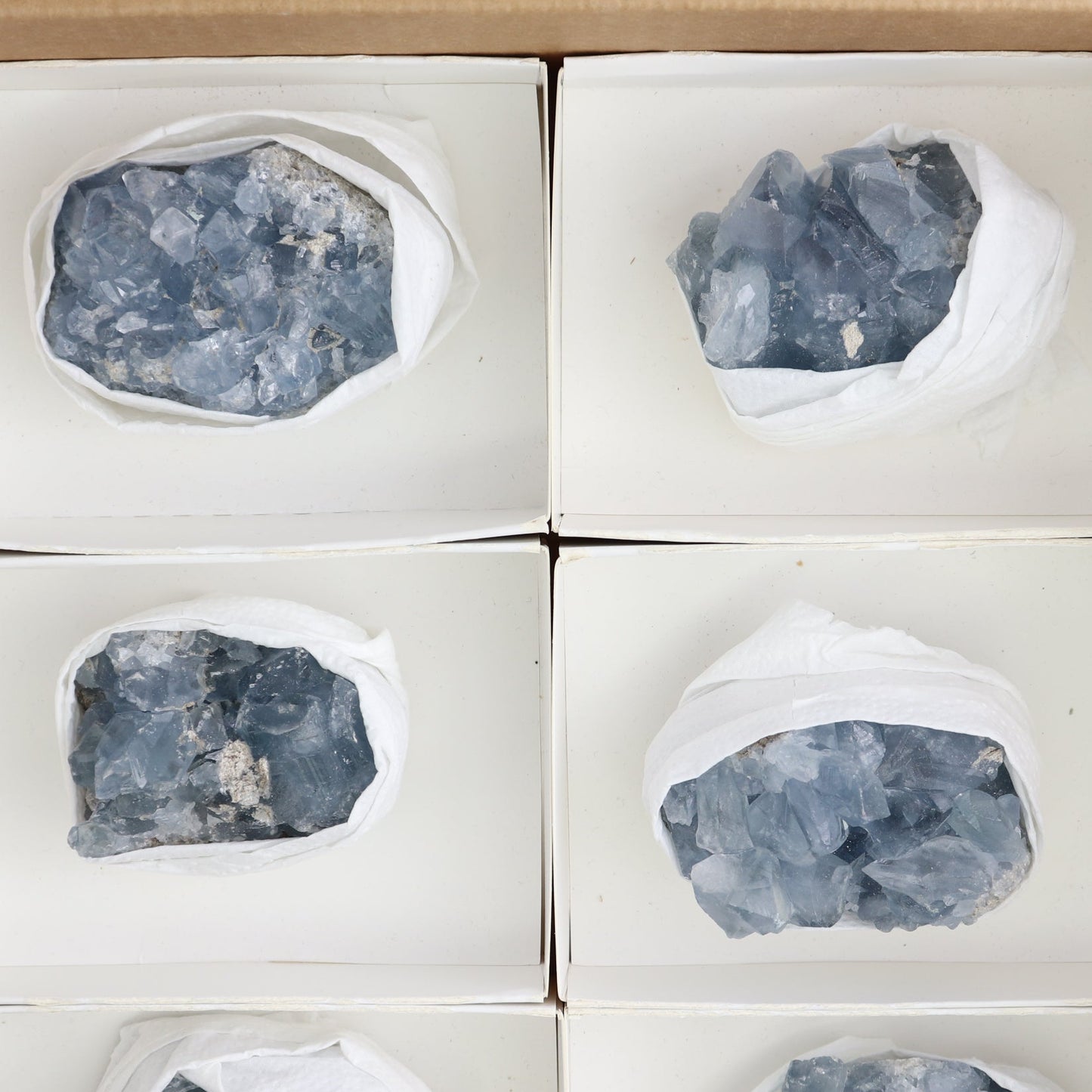Celestite Clusters Set of 8