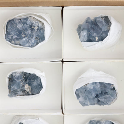 Celestite Clusters Set of 8