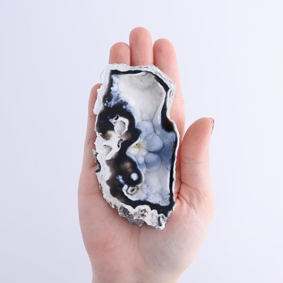 Agatized Coral Flat | Mi Esperanza Minerals | Supplier of Crystals and Onyx