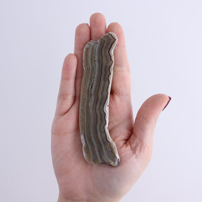 Agate Slices Set of 5 - Expert Wholesale and Supplier of Wholesale Crystals & Bulk Gemstones, ["Agate","Slices and Slabs"]