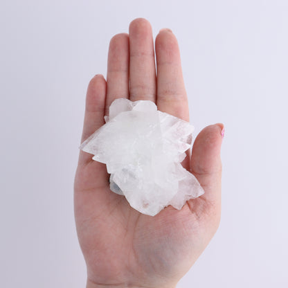 Apophyllite Clusters Flat of 12 - Expert Wholesale and Supplier of Wholesale Crystals & Bulk Gemstones, ["Apophyllite","Clusters","Flats"]