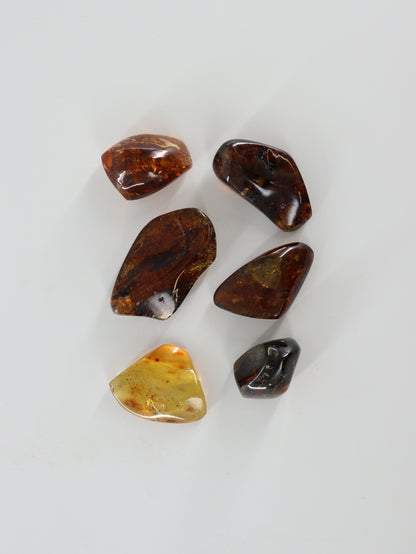 Chiapas Amber Tumbles Set of 6