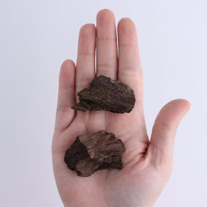 Permineralized Wood Flat of 35 - Expert Wholesale and Supplier of Wholesale Crystals & Bulk Gemstones, ["Flats","Germany","Permineralized Wood"]