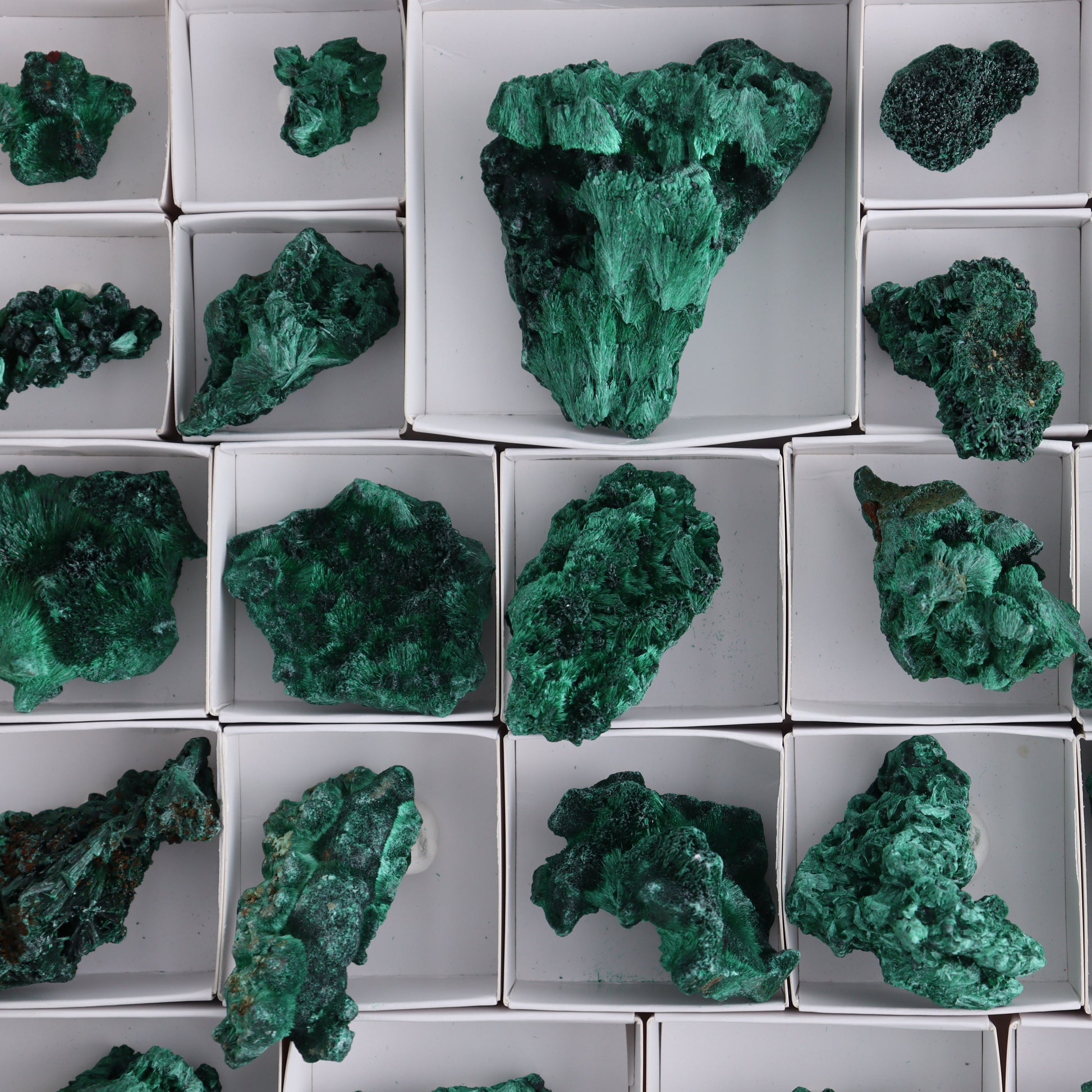 Malachite Flat of 30 - Expert Wholesale and Supplier of Wholesale Crystals & Bulk Gemstones, ["Congo","Flats","Malachite"]