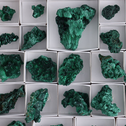 Malachite Flat of 30 - Expert Wholesale and Supplier of Wholesale Crystals & Bulk Gemstones, ["Congo","Flats","Malachite"]