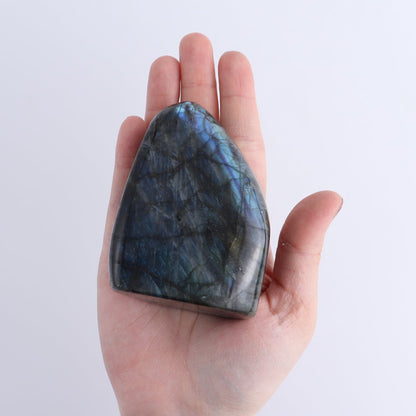 Labradorite Freeform Set of 6