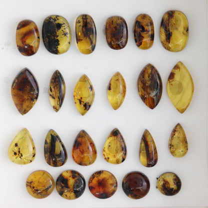 Chiapas Mexico Amber Cabs Set of 23