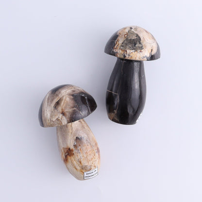 Petrified Wood Mushrooms Set of 4 - Expert Wholesale and Supplier of Wholesale Crystals & Bulk Gemstones, ["Indonesia","Mushrooms","Petrified Wood"]