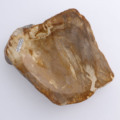 Bowl Petrified Wood - Expert Wholesale and Supplier of Wholesale Crystals & Bulk Gemstones, ["Bowls","Indonesia","Petrified Wood"]