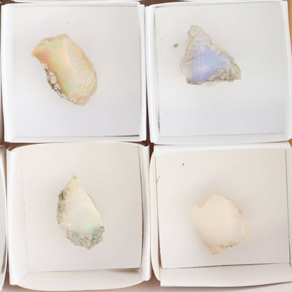 Ethiopian Opal Set of 10 - Expert Wholesale and Supplier of Wholesale Crystals & Bulk Gemstones, ["Ethiopia","ethiopian opal","Opal"]