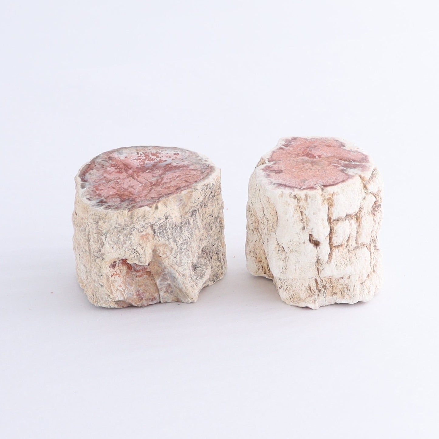 Petrified Wood Cut Bases Set of 10 - Expert Wholesale and Supplier of Wholesale Crystals & Bulk Gemstones, ["Cut Base","Petrified Wood"]