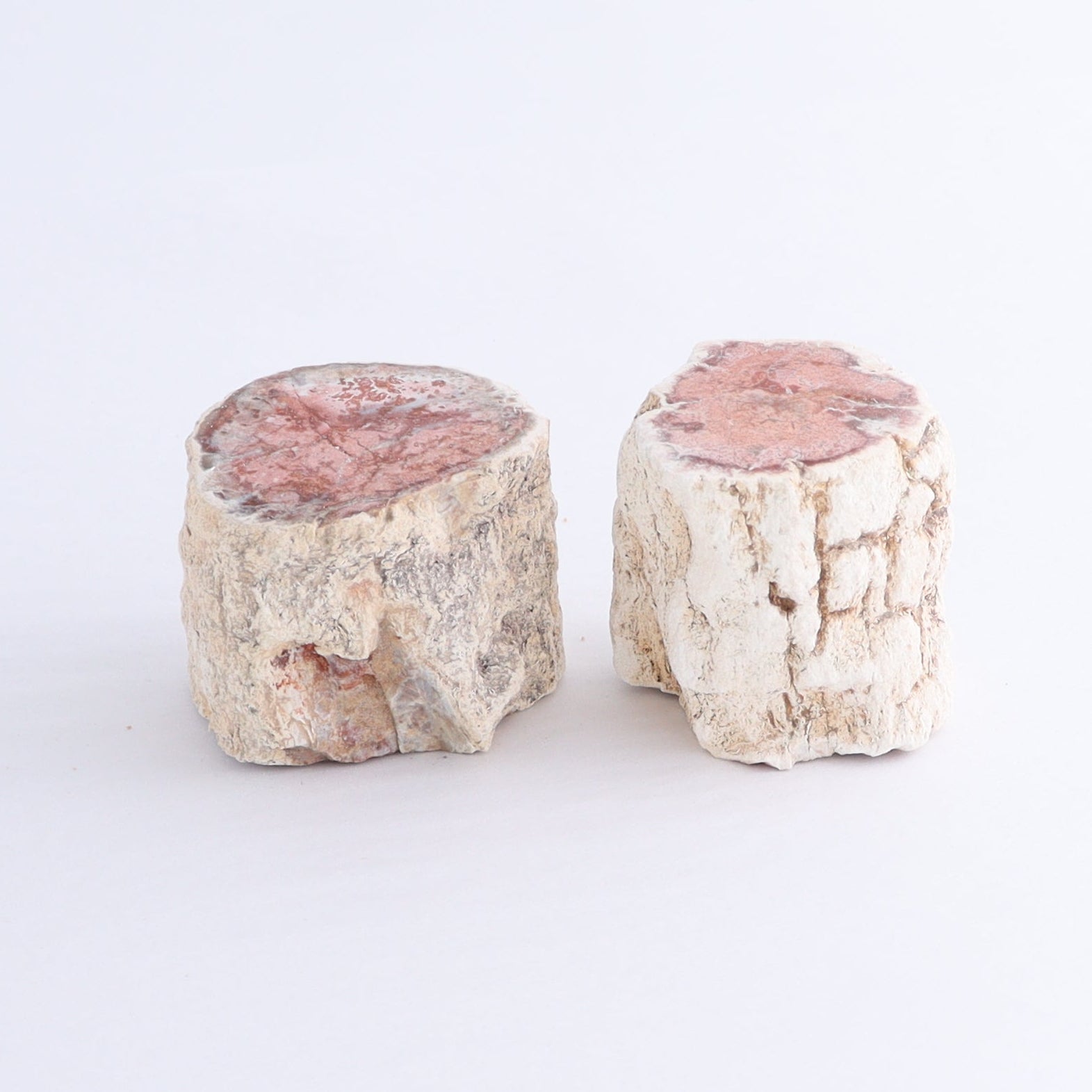 Petrified Wood Cut Bases Set of 10 - Expert Wholesale and Supplier of Wholesale Crystals & Bulk Gemstones, ["Cut Base","Petrified Wood"]
