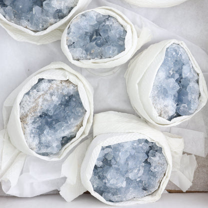 Celestite Clusters Set of 6
