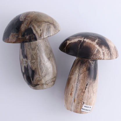 Petrified Wood Mushrooms Set of 4 - Expert Wholesale and Supplier of Wholesale Crystals & Bulk Gemstones, ["Indonesia","Mushrooms","Petrified Wood"]