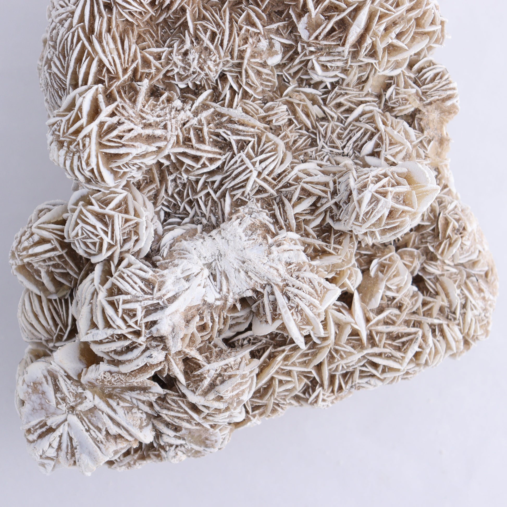 Desert Rose Cluster - Expert Wholesale and Supplier of Wholesale Crystals & Bulk Gemstones, ["Desert Rose","Freeforms"]