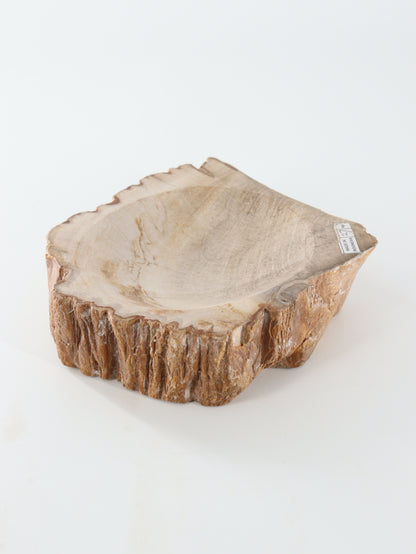Petrified Wood Bowl - Expert Wholesale and Supplier of Wholesale Crystals & Bulk Gemstones, []