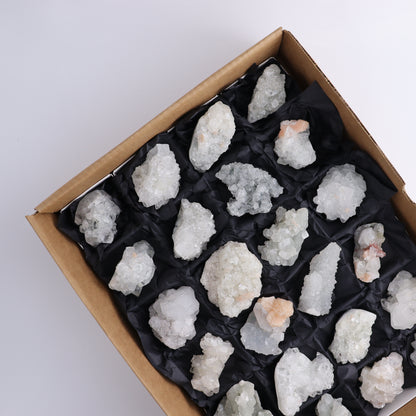 Apophyllite Clusters Flat of 24 - Expert Wholesale and Supplier of Wholesale Crystals & Bulk Gemstones, ["Apophyllite","Clusters","Flats"]