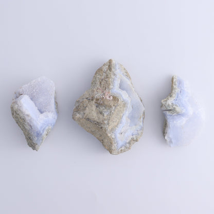 Blue Lace Agate Freeforms Set of 12