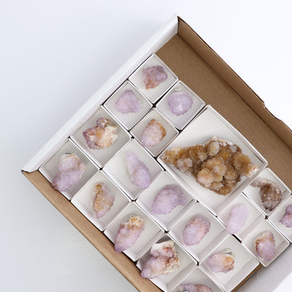 Cactus Quartz Set of 19