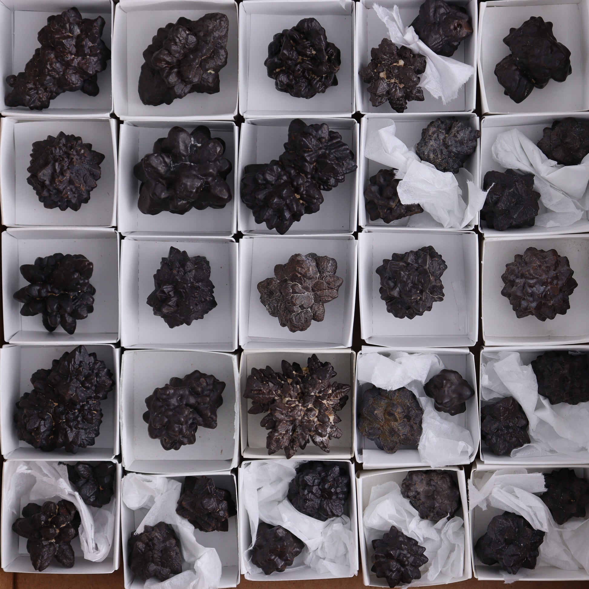 Egyptian Prophecy Stones Flat of 42 - Expert Wholesale and Supplier of Wholesale Crystals & Bulk Gemstones, ["Egypt","Freeforms","Prophecy Stone"]