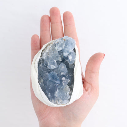 Celestite Clusters Set of 6