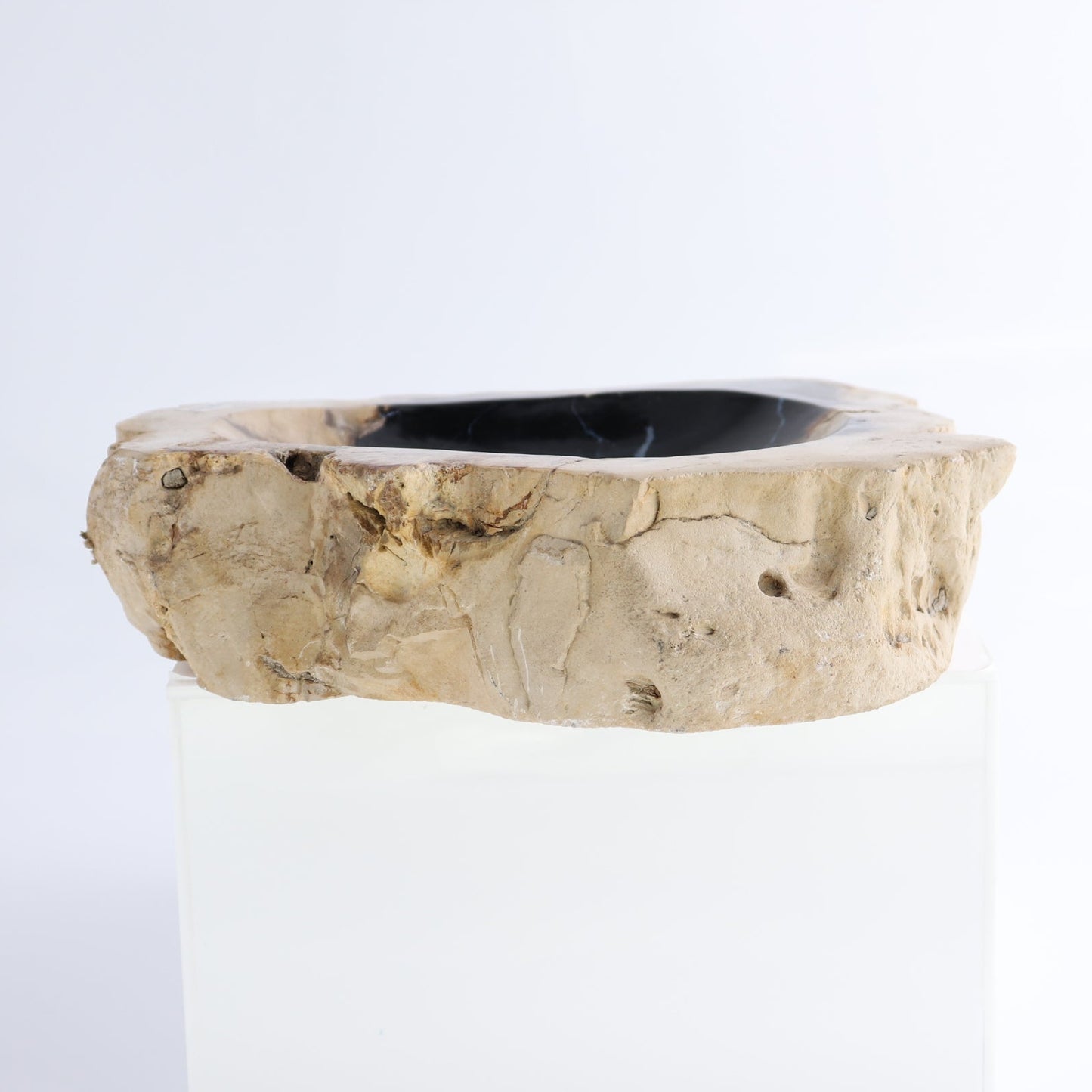 One Small Petrified Wood Brown & Black Rough Bowl