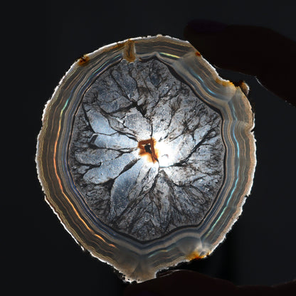 Iris Agate Slices Set of 6 - Expert Wholesale and Supplier of Wholesale Crystals & Bulk Gemstones, ["Agate","Iris Agate","Slices and Slabs"]
