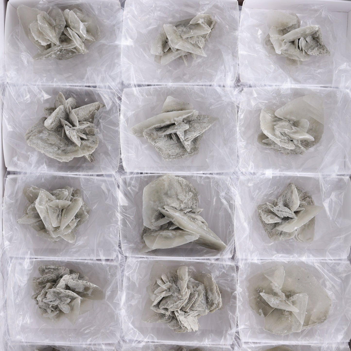 Selenite Clusters Set of 18 - Expert Wholesale and Supplier of Wholesale Crystals & Bulk Gemstones, ["Clusters","selenite"]