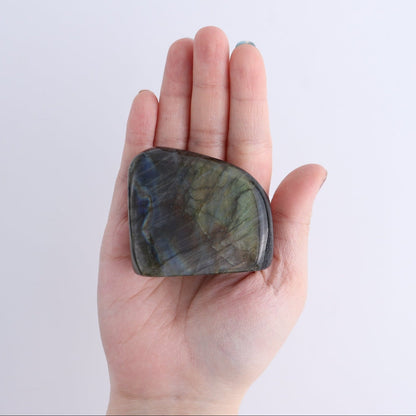 Labradorite Freeform Set of 7