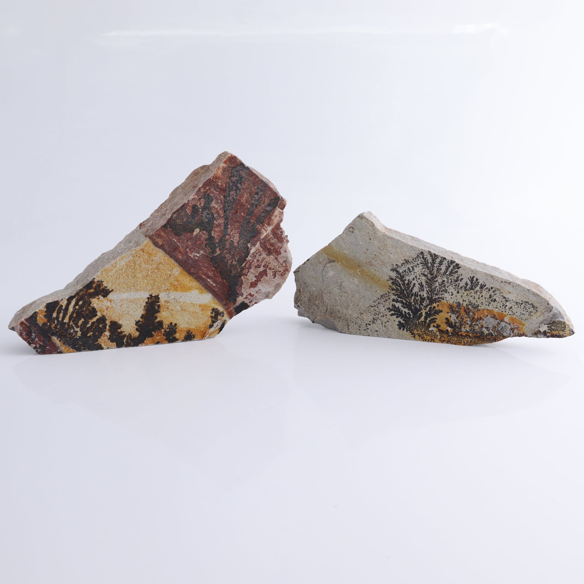 Dendrites Flat Set of 5 - Expert Wholesale and Supplier of Wholesale Crystals & Bulk Gemstones, ["Dendrite","Flats"]