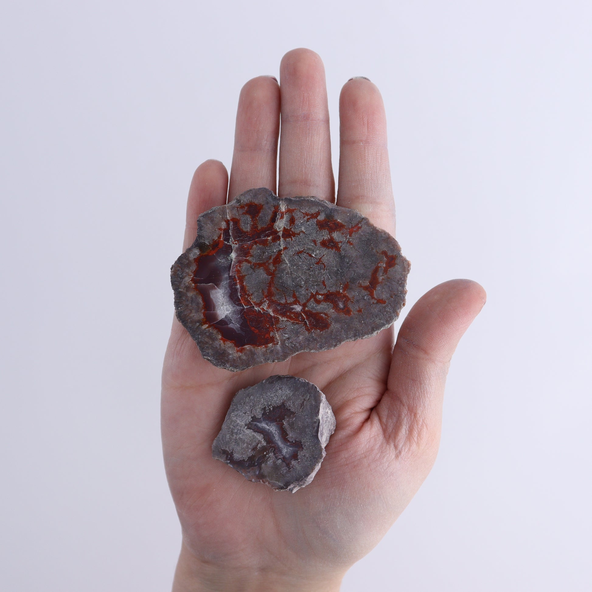 Agate Pseudo. Barite Geodes Flat of 34 - Expert Wholesale and Supplier of Wholesale Crystals & Bulk Gemstones, ["Agate","Agate Pseudo Barite","flat","Flats","Geodes","United States"]