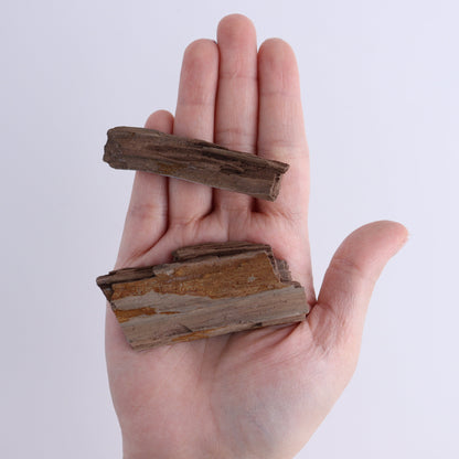 Permineralized Wood Flat of 35 - Expert Wholesale and Supplier of Wholesale Crystals & Bulk Gemstones, ["Flats","Germany","Permineralized Wood"]