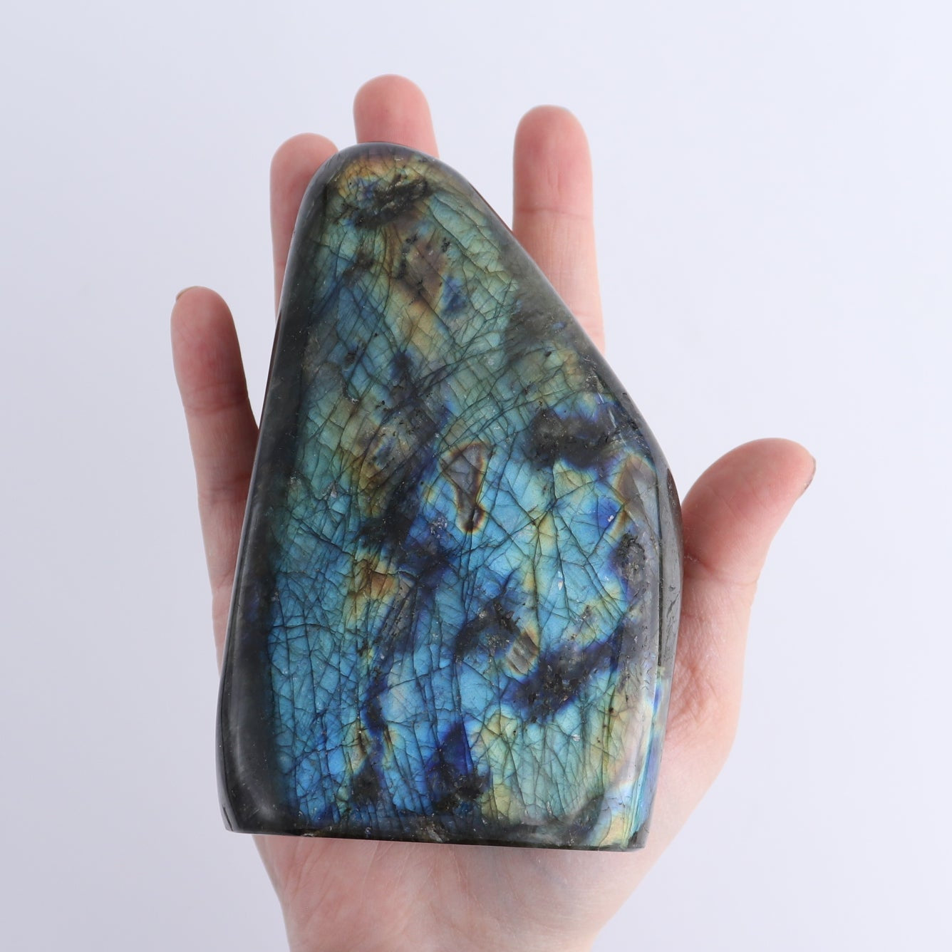 Labradorite Freeform Set of 6
