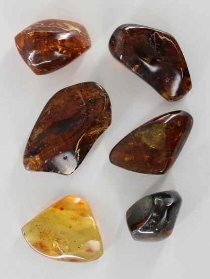 Chiapas Amber Tumbles Set of 6