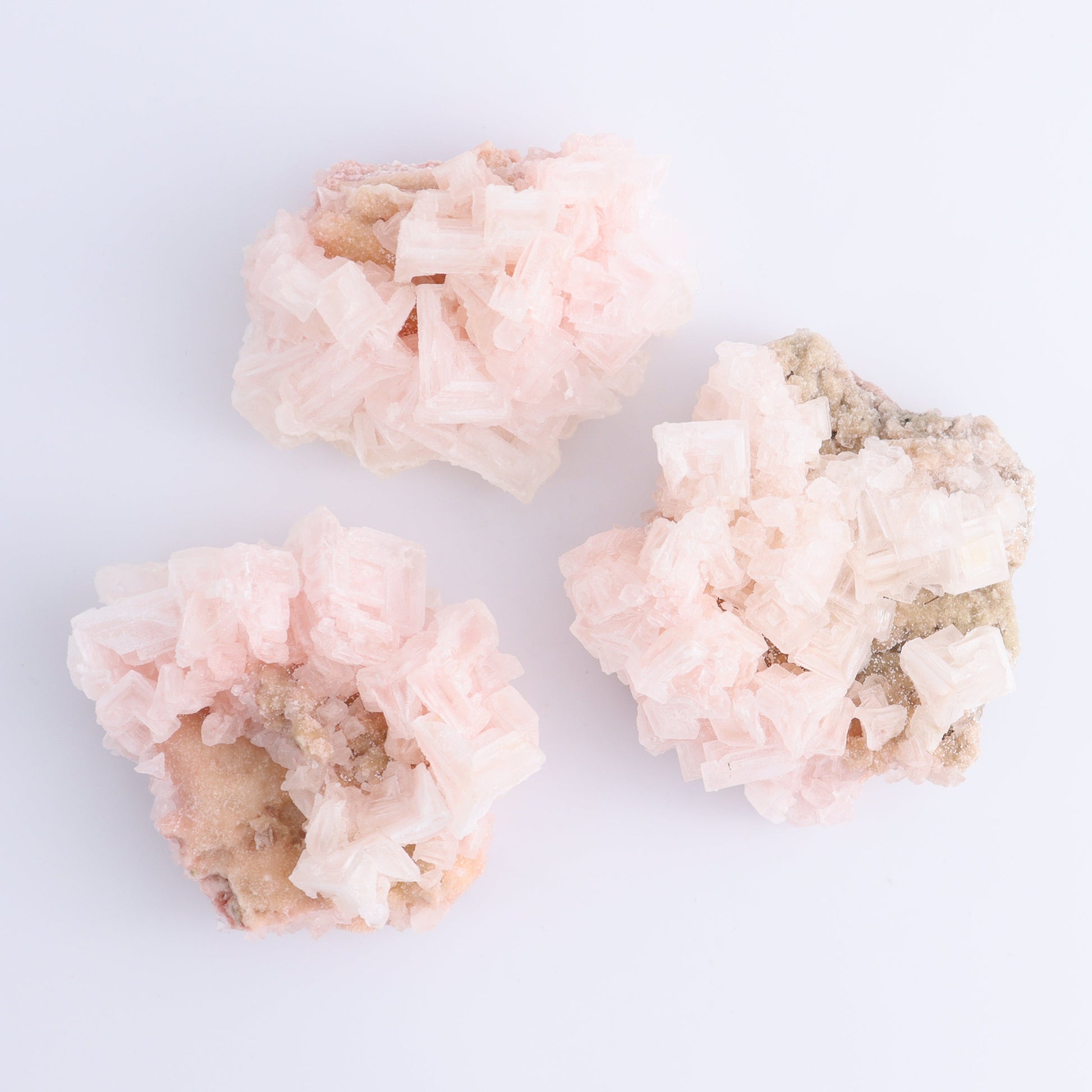Searles Lake Halite Flat of 12 - Expert Wholesale and Supplier of Wholesale Crystals & Bulk Gemstones, ["close_30","Halite","Pink Halite","United States"]