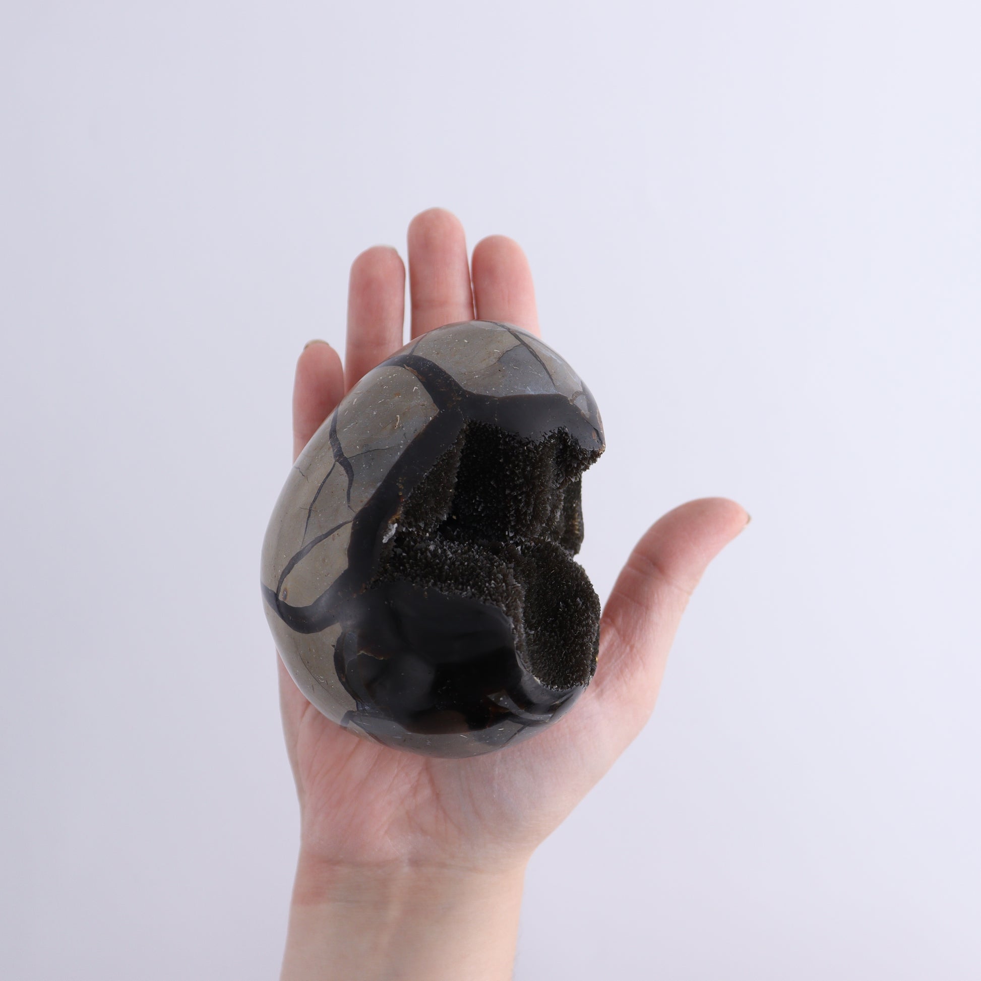 Septarian Eggs Set of 3 - Expert Wholesale and Supplier of Wholesale Crystals & Bulk Gemstones, ["Eggs","Septarian"]