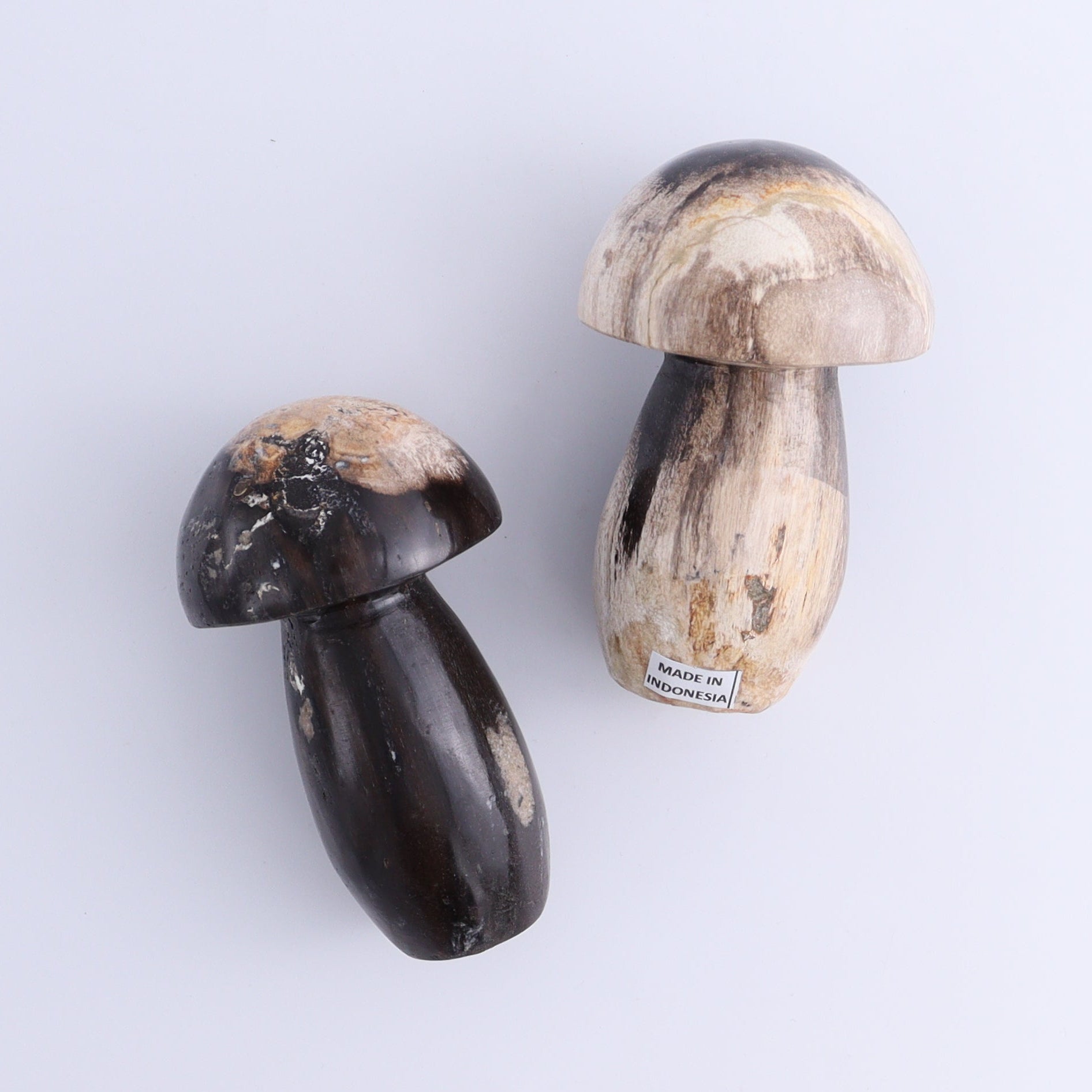 Petrified Wood Mushrooms Set of 4 - Expert Wholesale and Supplier of Wholesale Crystals & Bulk Gemstones, ["Indonesia","Mushrooms","Petrified Wood"]