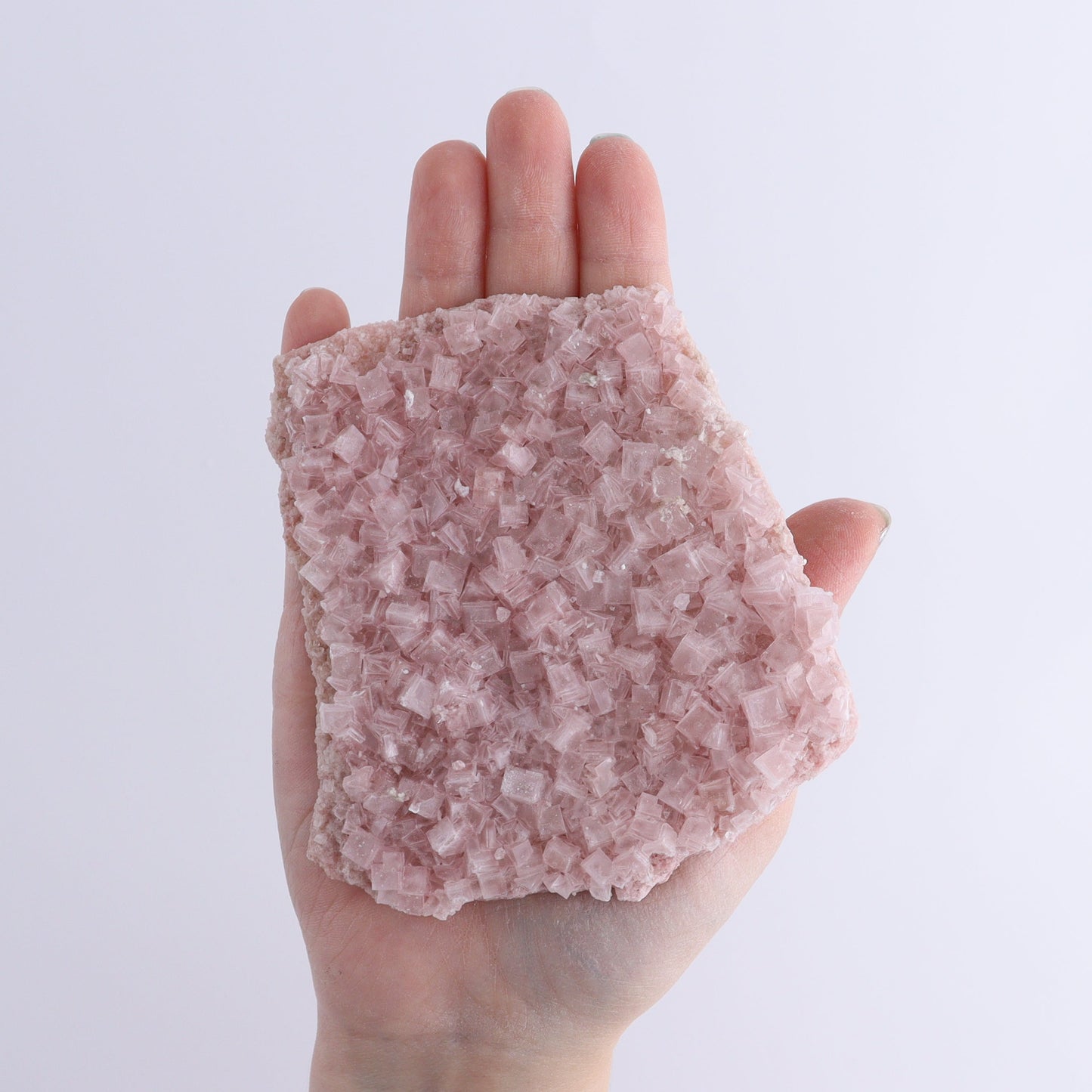 Pink Halite Set of 6