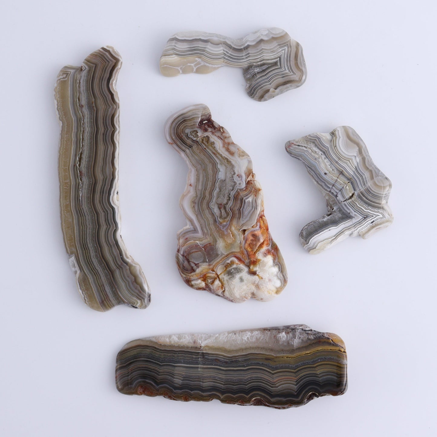 Agate Slices Set of 5 - Expert Wholesale and Supplier of Wholesale Crystals & Bulk Gemstones, ["Agate","Slices and Slabs"]