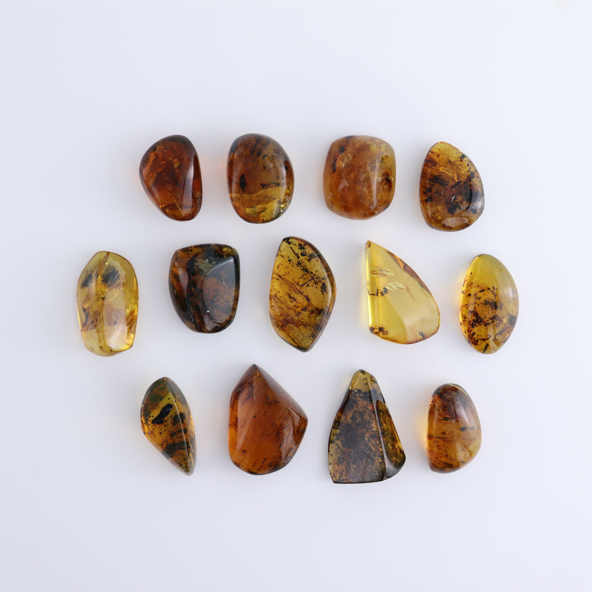 Chiapas Mexico Amber Freeforms Set of 13