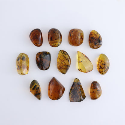 Chiapas Mexico Amber Freeforms Set of 13