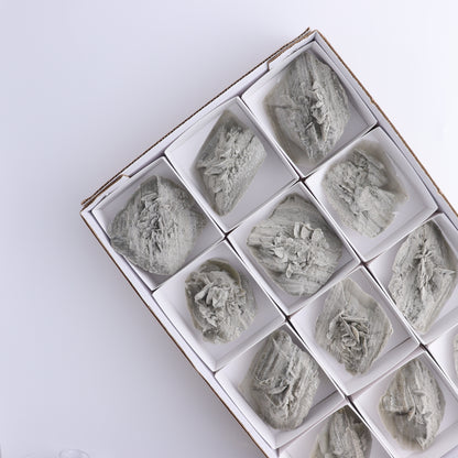 Selenite Clusters Set of 12