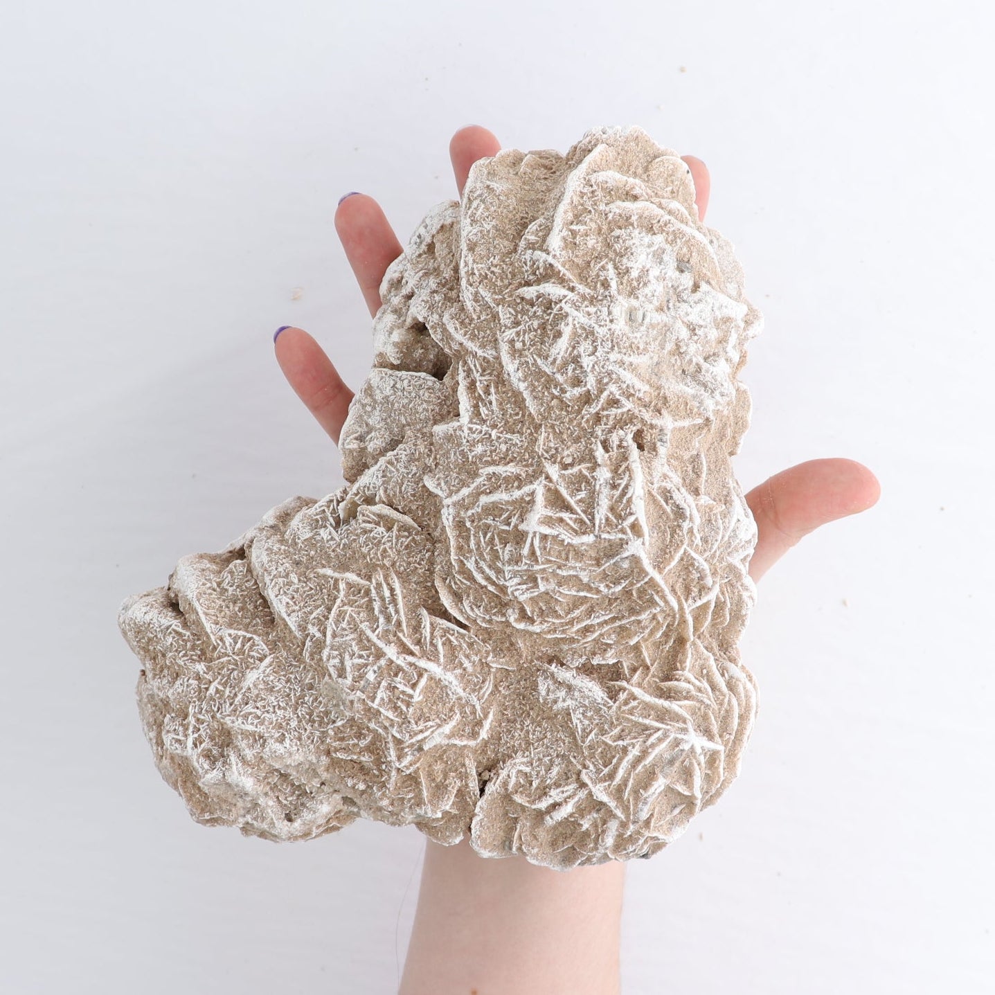 Desert Rose Set of 2