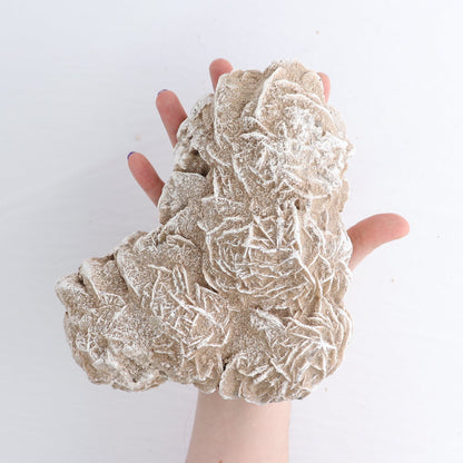 Desert Rose Set of 2