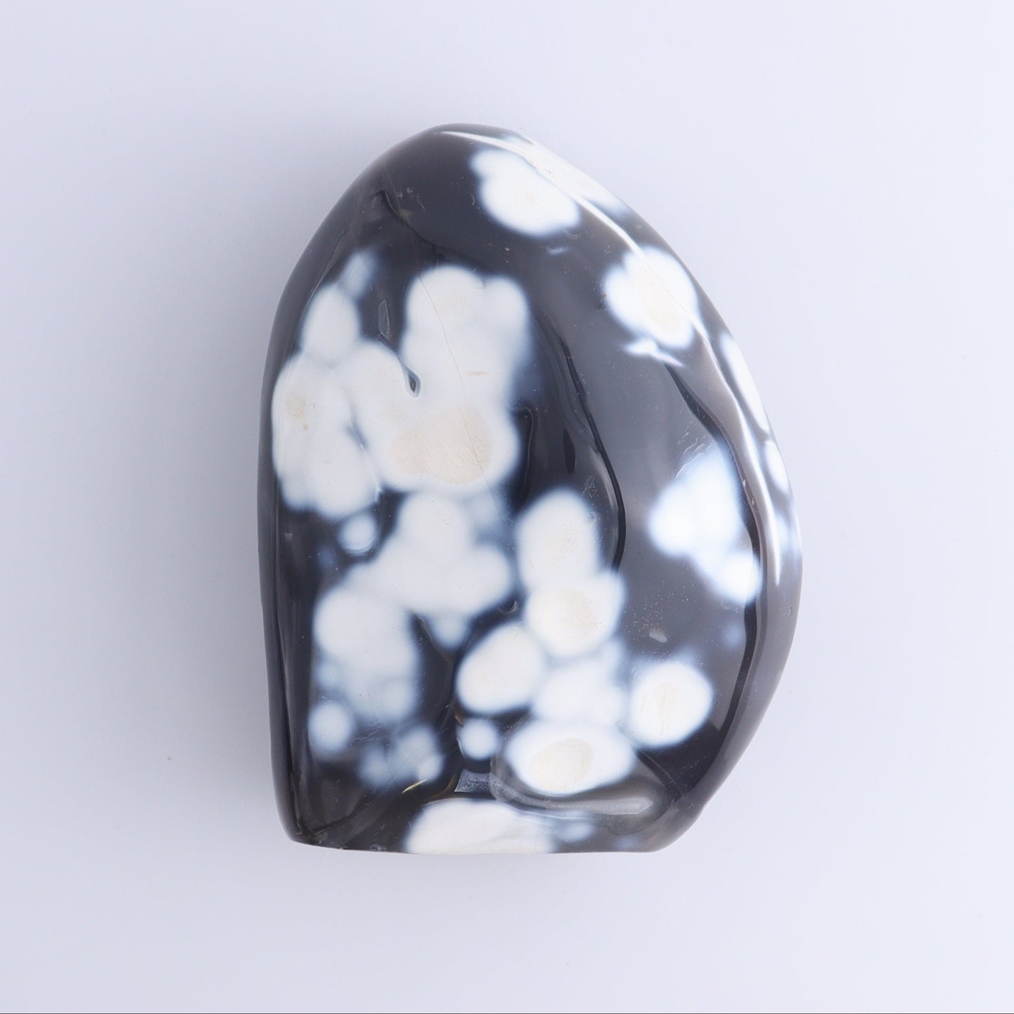 Orca Agate Freeform Set of 4 - Expert Wholesale and Supplier of Wholesale Crystals & Bulk Gemstones, ["close_50","Freeforms","Madagascar","Orca Agate"]