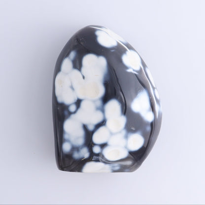 Orca Agate Freeform Set of 4 - Expert Wholesale and Supplier of Wholesale Crystals & Bulk Gemstones, ["close_50","Freeforms","Madagascar","Orca Agate"]