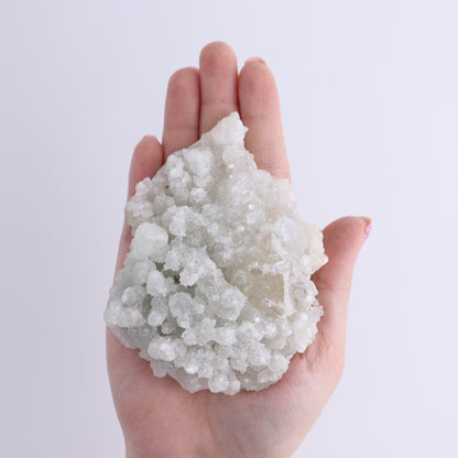 Apophyllite Clusters Flat of 12 - Expert Wholesale and Supplier of Wholesale Crystals & Bulk Gemstones, ["Apophyllite","Clusters","Flats"]